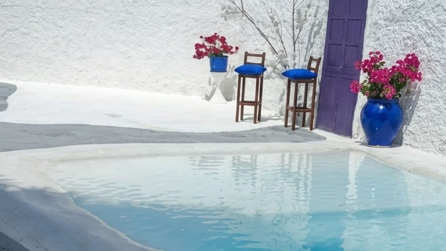 Piscina orgánica turquesa